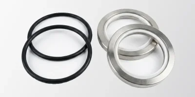Ersatzdichtungen - Dichtsatz Wellendichtung Feinstzerkleinerer 125mm (KI-visualisiert)